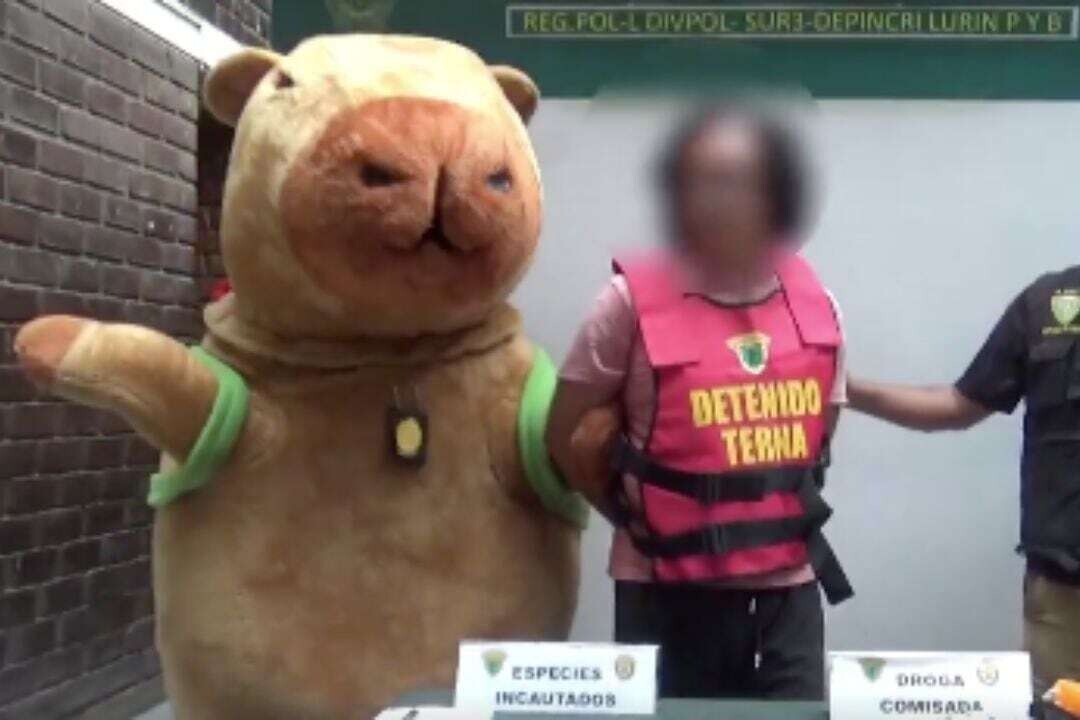 Capybara Police Distracts Drug Dealer in Lima