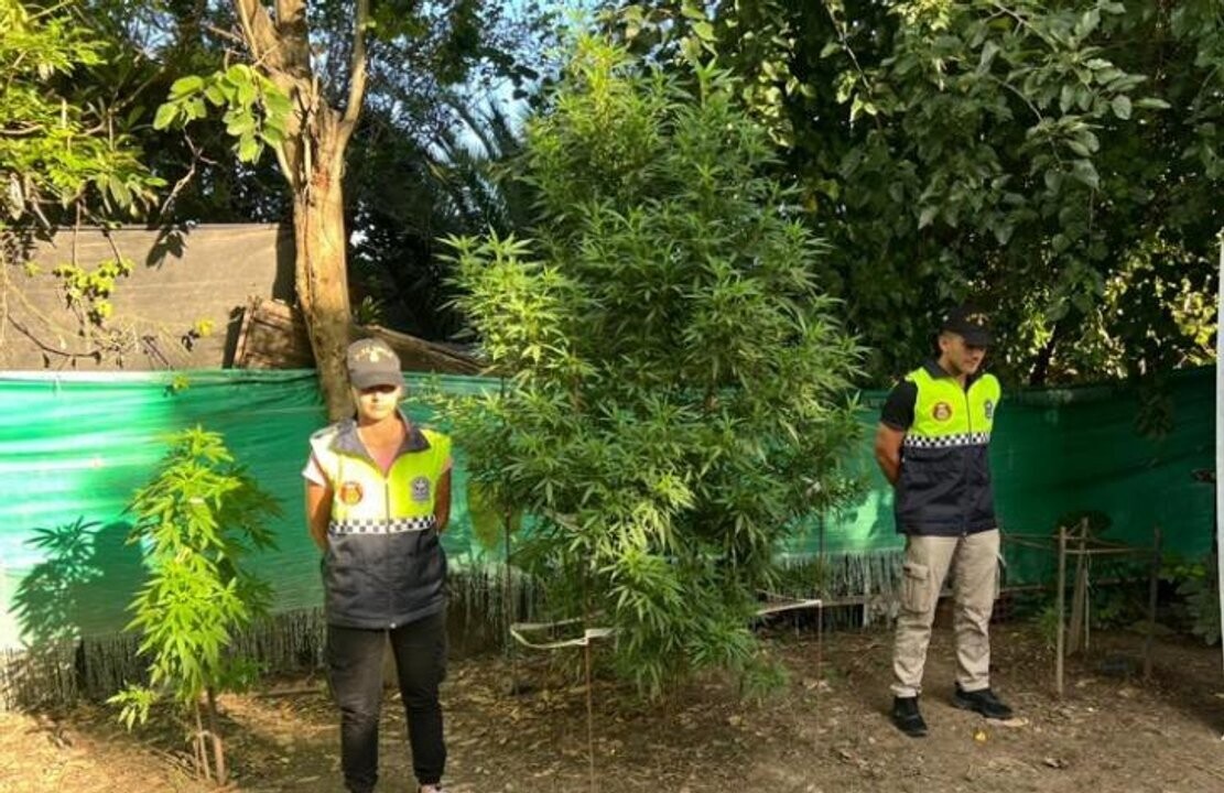 Police Intercept Suspect with Cannabis in Lima