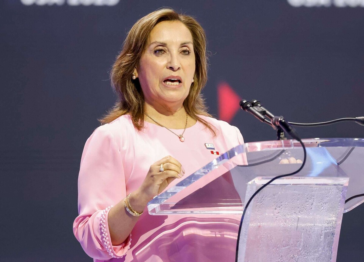 Министр здравоохранения Перу обвиняет в заговоре против Президента Болуарте