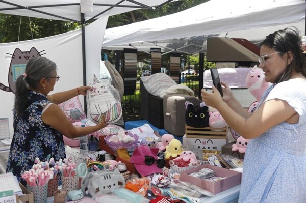 GatoFest Summer Edition in Lima collects food for cats