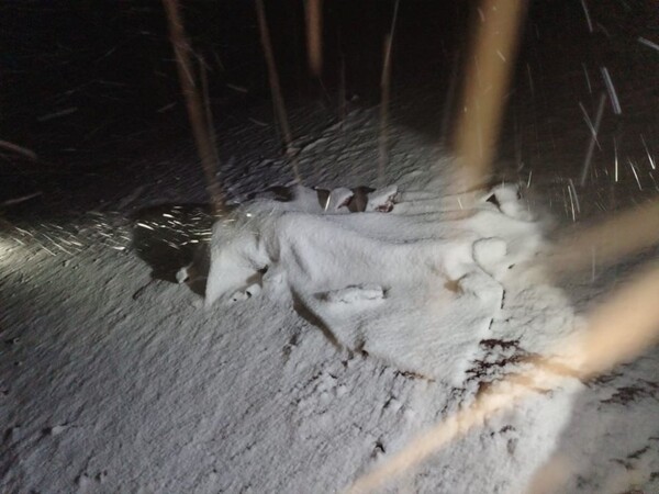 Tragic Death of Argentinian Tourist in Peru