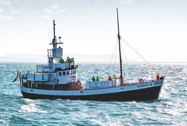 Дебаты о Заповеднике китобойного промысла в Лиме