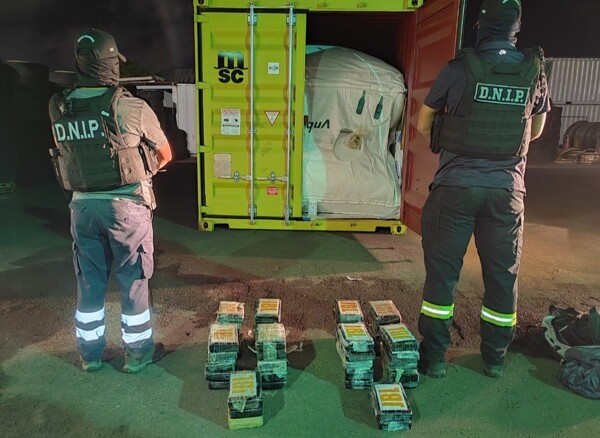 Власти изъяли наркопакеты, скрытые в контейнере с авокадо маслом