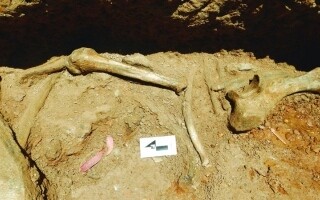 Уникальные палеонтологические находки в Перу