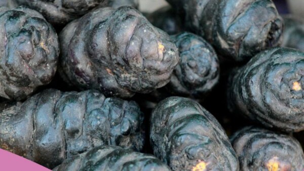 Полезные свойства машуа: суперпродукт из региона Анд